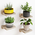 Haven Floating Shelves - Set of 4